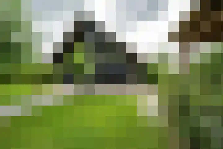 Achterweg 77 Acquoy thumbnail 43