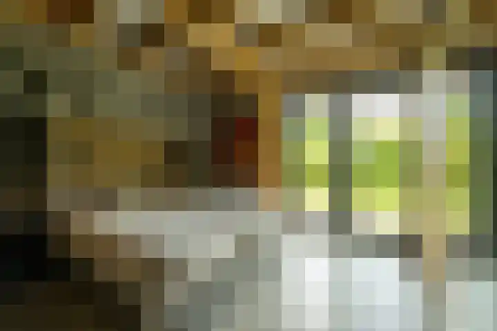 Achterweg 77 Acquoy thumbnail 52