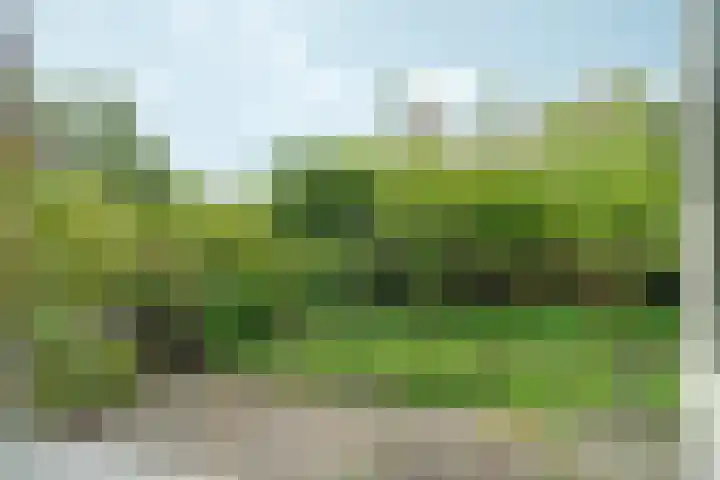 Achterweg 77 Acquoy thumbnail 58