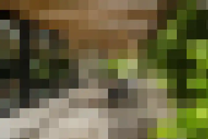 Achterweg 77 Acquoy thumbnail 6