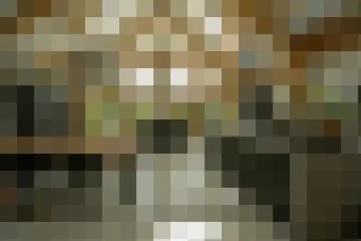 Achterweg 77 Acquoy thumbnail 61