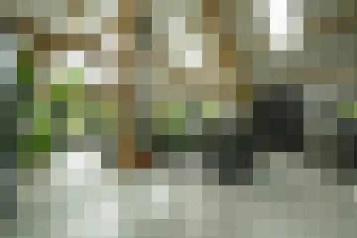 Achterweg 77 Acquoy thumbnail 69