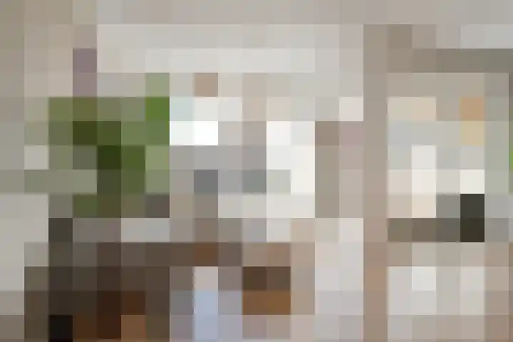 Achterweg 77 Acquoy thumbnail 7