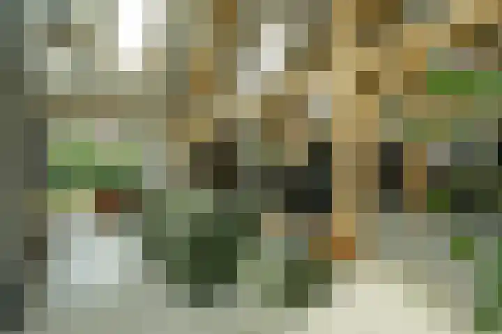 Achterweg 77 Acquoy thumbnail 71