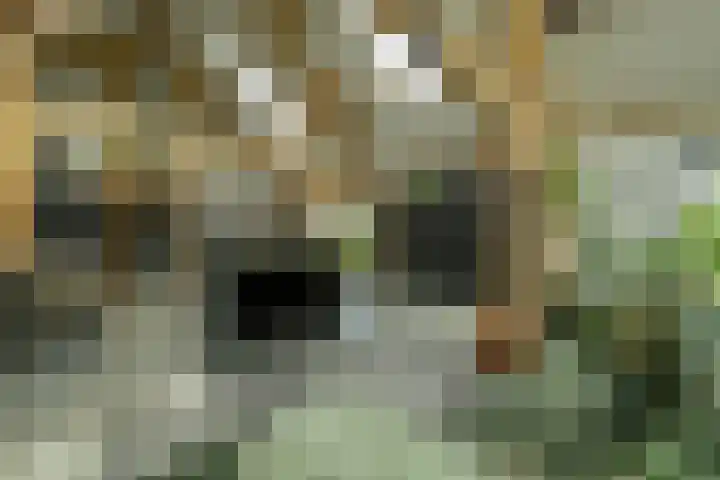 Achterweg 77 Acquoy thumbnail 73