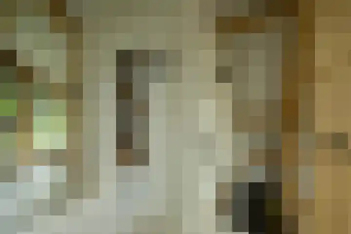 Achterweg 77 Acquoy thumbnail 78