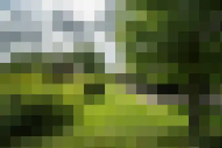 Achterweg 77 Acquoy thumbnail 8