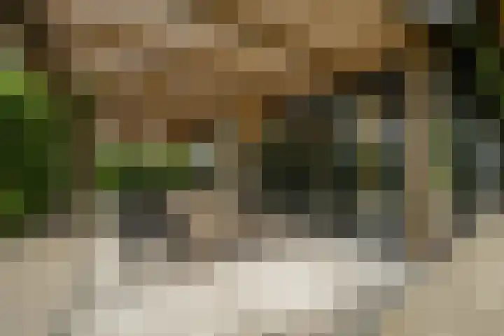 Achterweg 77 Acquoy thumbnail 93