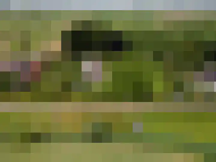 Achterweg 77 Acquoy thumbnail 96