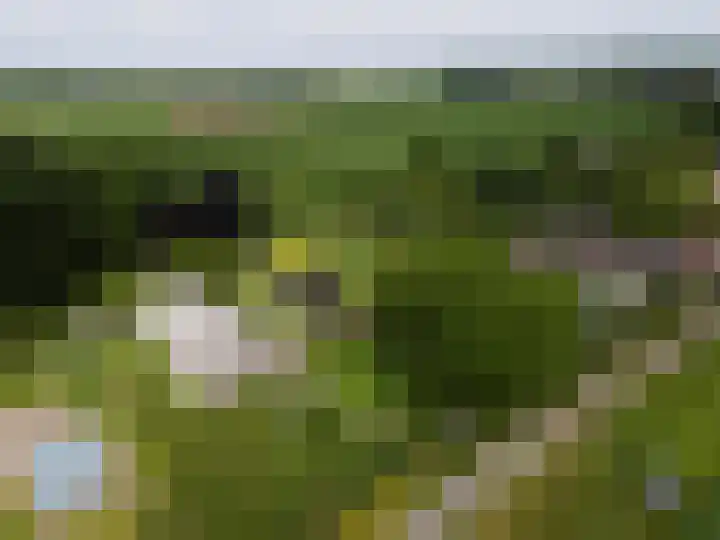 Achterweg 77 Acquoy thumbnail 97