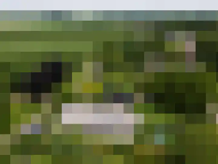 Achterweg 77 Acquoy thumbnail 98