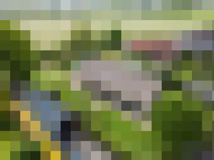 Achterweg 77 Acquoy thumbnail 99