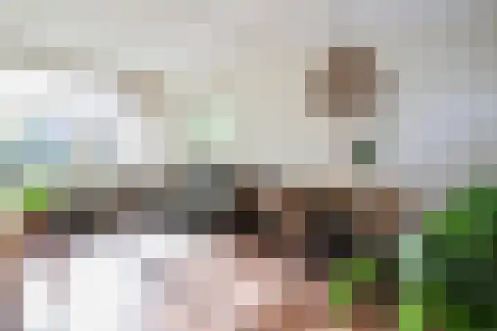 Achterwei 15 Oudega thumbnail 18