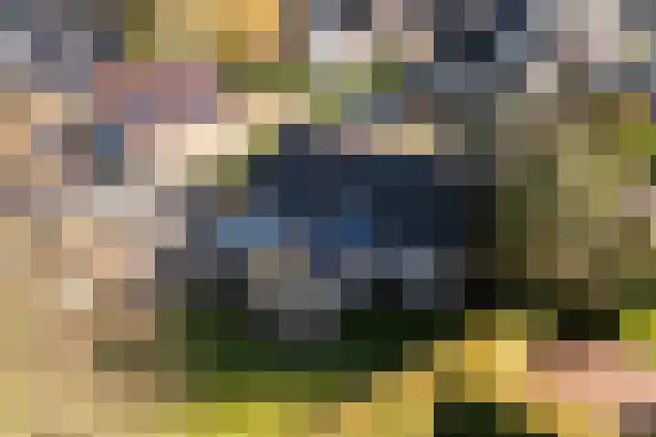 Achterwei 15 Oudega thumbnail 43
