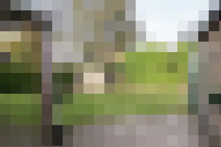 Achterwei 15 Oudega thumbnail 47