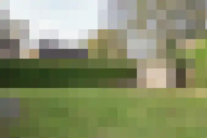 Achterwei 15 Oudega thumbnail 48