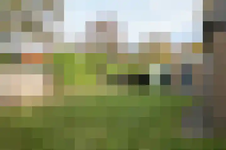 Achterwei 15 Oudega thumbnail 51