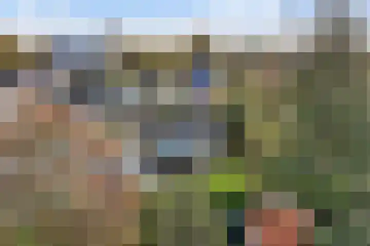 Achterwei 15 Oudega thumbnail 61