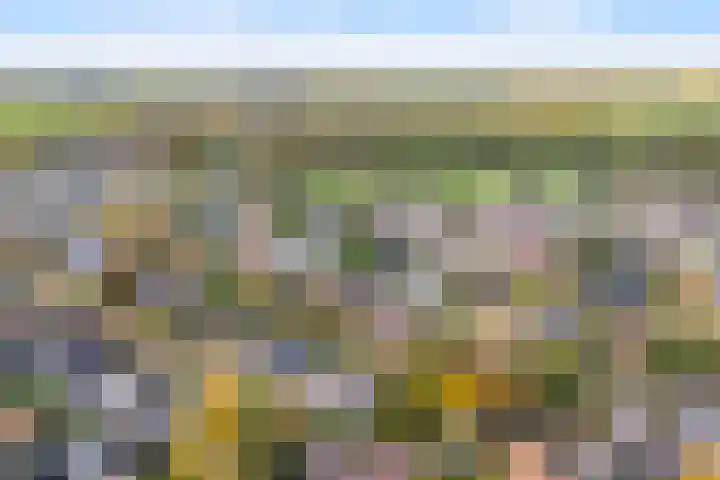 Achterwei 15 Oudega thumbnail 62