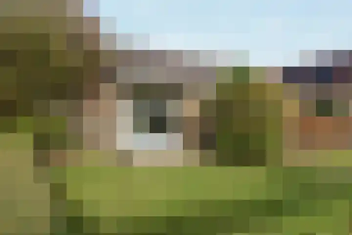 Achterwei 15 Oudega thumbnail 7