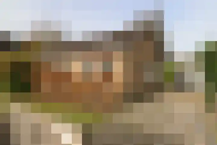 Achterwei 15 Oudega thumbnail 9