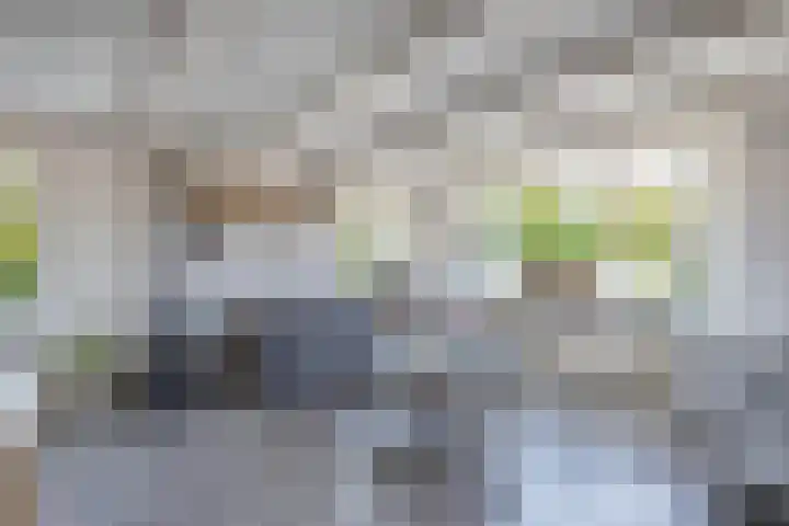 Achterwei 26 Oudega thumbnail 12