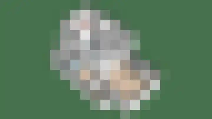 Achterwei 26 Oudega thumbnail 49
