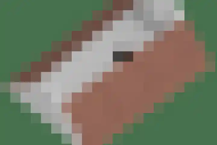 Achterwei 7 in Damwâld