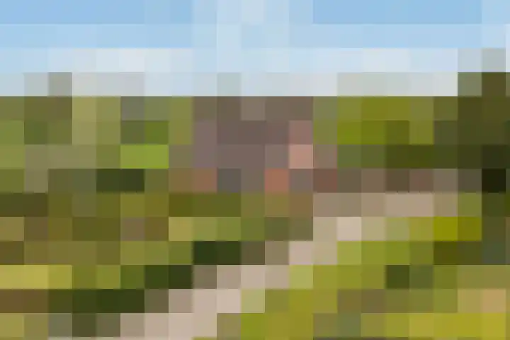 Achterwei 7 dans Damwâld