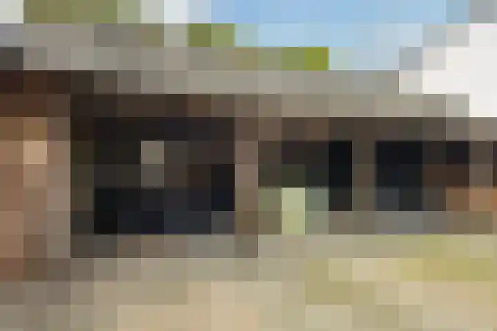 Achterwei 7 Damwâld thumbnail 15