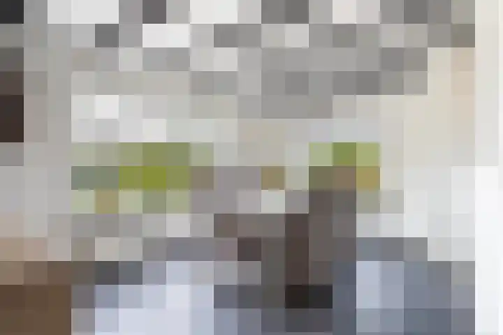 Achterwei 7 Damwâld thumbnail 21