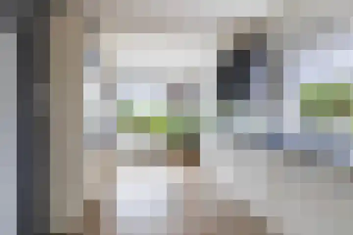 Achterwei 7 Damwâld thumbnail 23