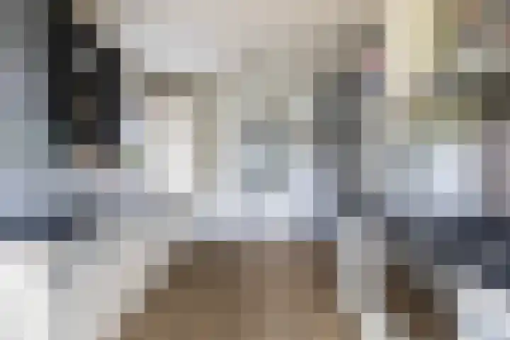Achterwei 7 Damwâld thumbnail 24
