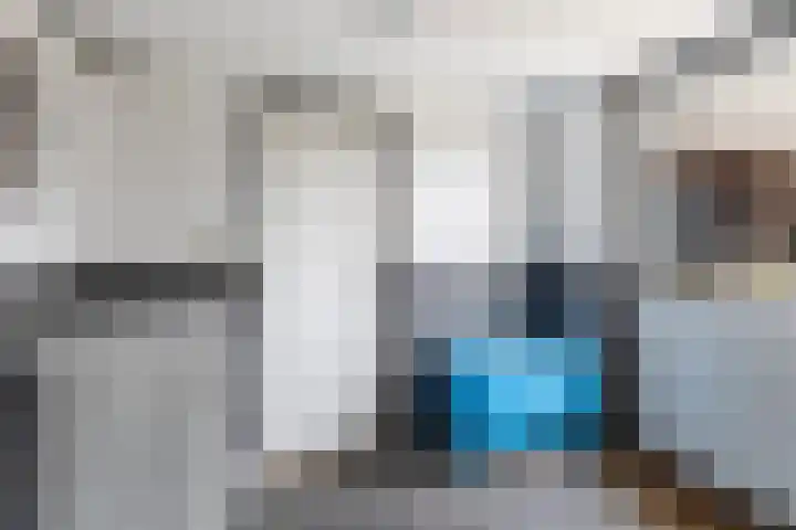 Achterwei 7 Damwâld thumbnail 25