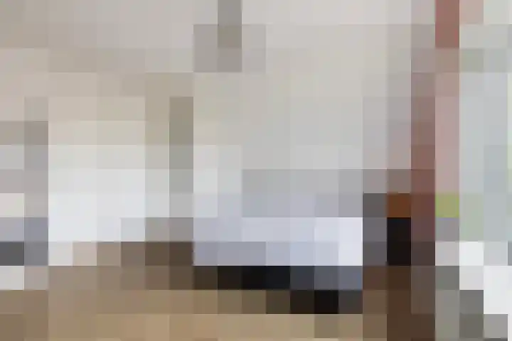 Achterwei 7 Damwâld thumbnail 28