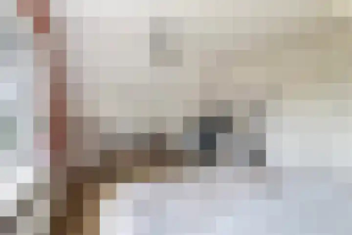 Achterwei 7 Damwâld thumbnail 29