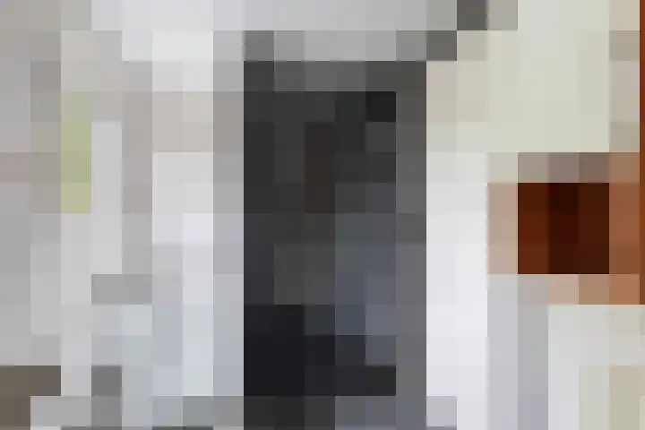 Achterwei 7 Damwâld thumbnail 32