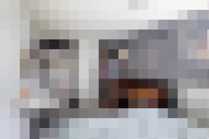 Achterwei 7 Damwâld thumbnail 35