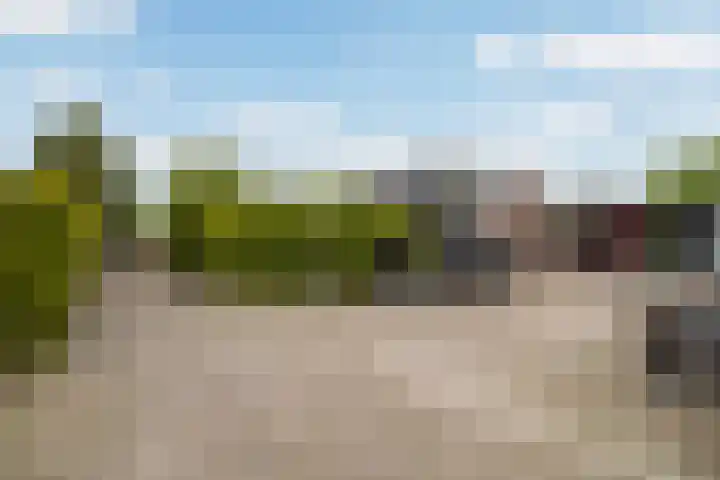 Achterwei 7 Damwâld thumbnail 36
