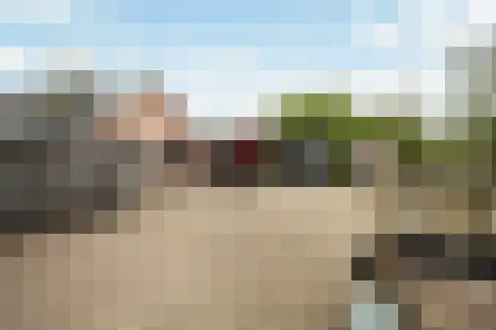 Achterwei 7 Damwâld thumbnail 37