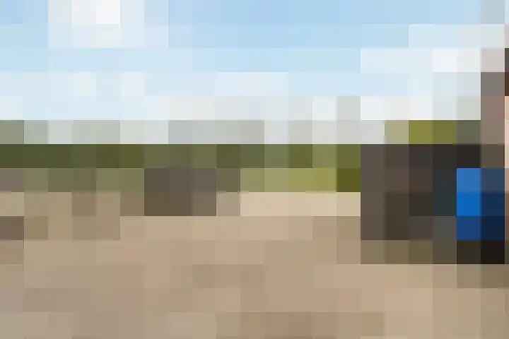 Achterwei 7 Damwâld thumbnail 38