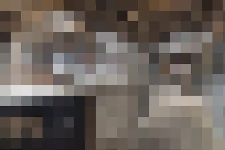 Achterwei 7 Damwâld thumbnail 39