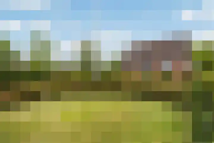 Achterwei 7 Damwâld thumbnail 4