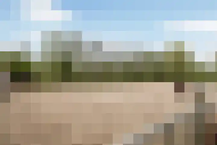 Achterwei 7 Damwâld thumbnail 40