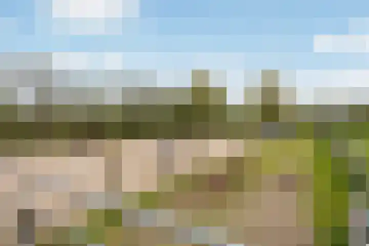 Achterwei 7 Damwâld thumbnail 41