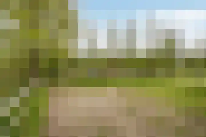 Achterwei 7 Damwâld thumbnail 42