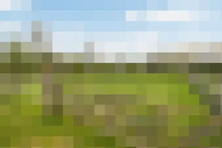 Achterwei 7 Damwâld thumbnail 43