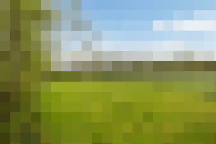 Achterwei 7 Damwâld thumbnail 44