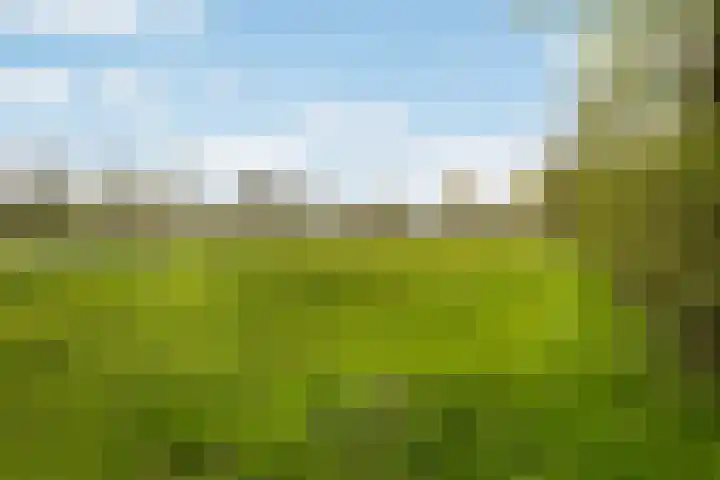 Achterwei 7 Damwâld thumbnail 45