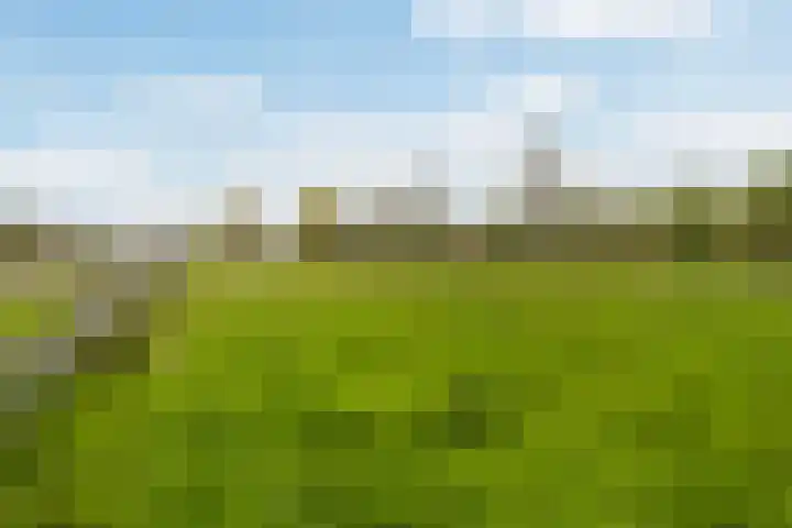 Achterwei 7 Damwâld thumbnail 46